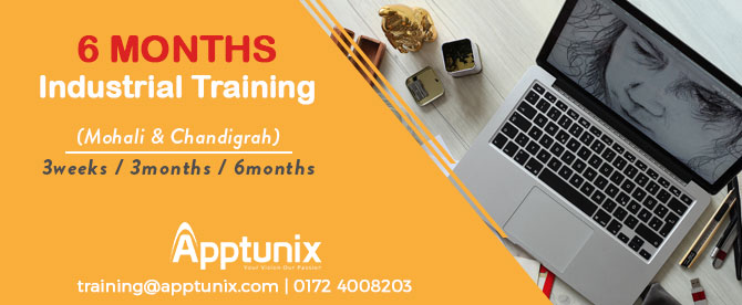 6 months Industrial Training in Chandigarh and Mohali
